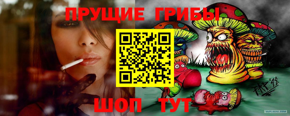 Псилоцибиновые грибы Psilocybine cubensis Избербаш